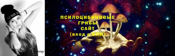 бошки Болохово