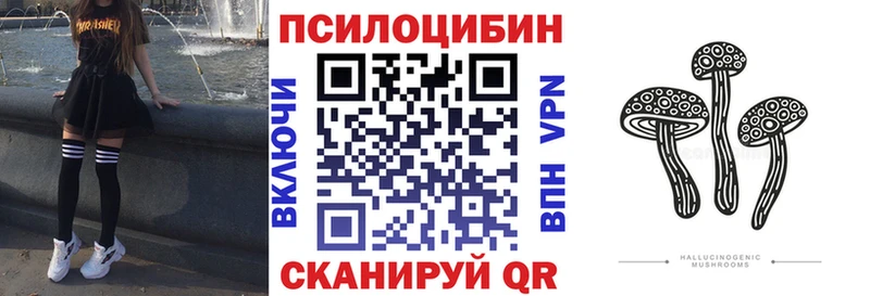 купить наркотики сайты  Рославль  гидра онион  Псилоцибиновые грибы Psilocybine cubensis 