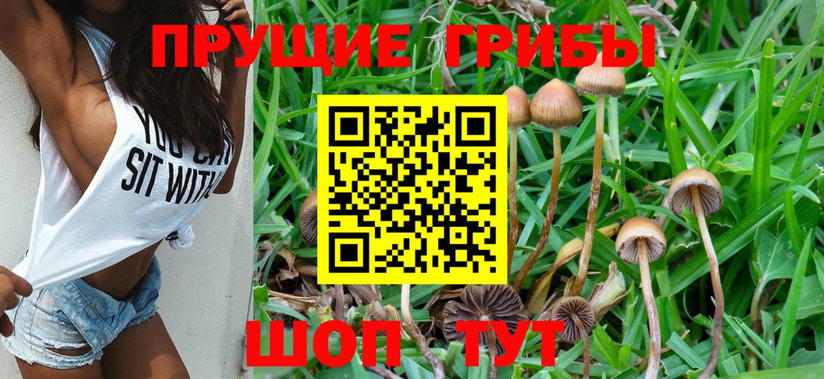 Псилоцибиновые грибы ЛСД  Вход с VPN  Рославль 