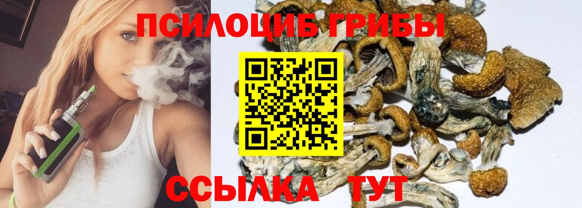 Галлюциногенные грибы мухоморы Рославль