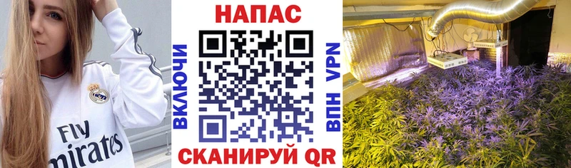 закладки  Рославль  МАРИХУАНА AK-47 